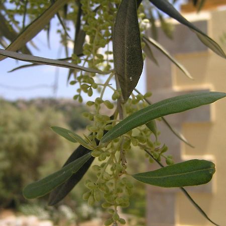 Stratos Villas Kaloniktis المظهر الخارجي الصورة