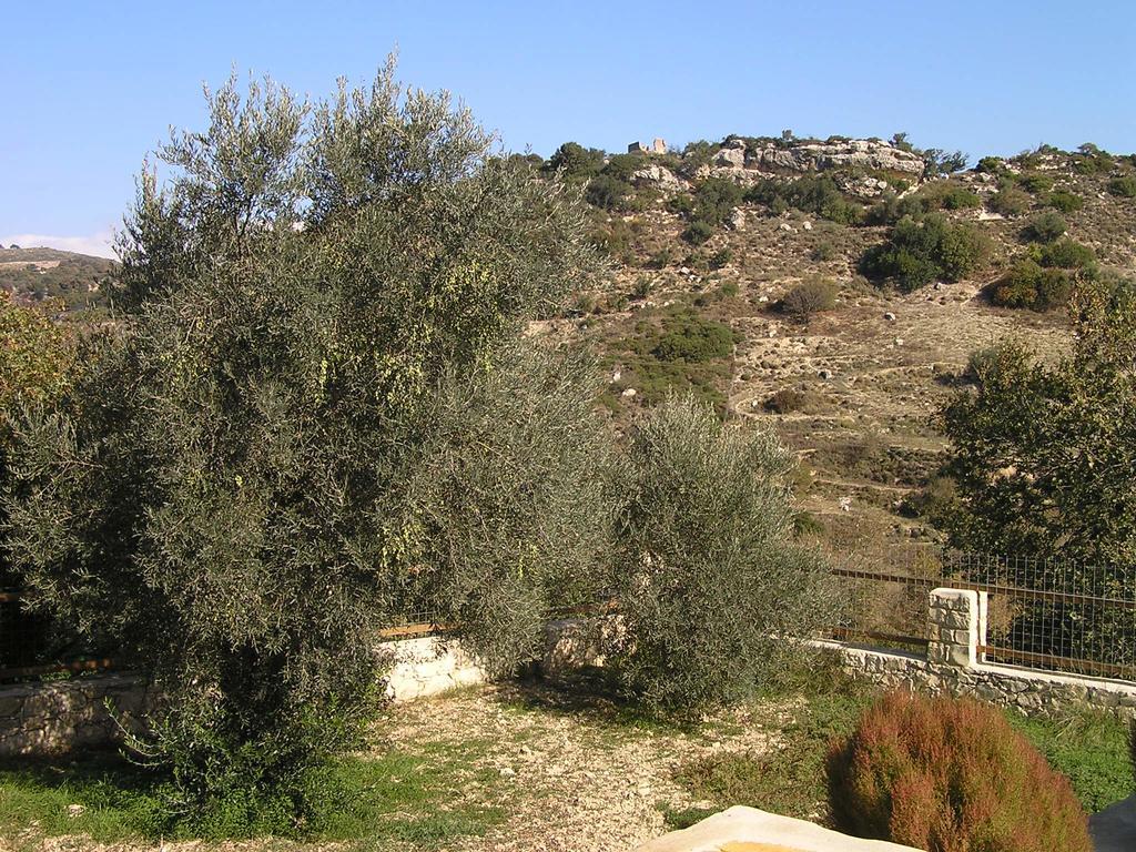 Stratos Villas Kaloniktis المظهر الخارجي الصورة